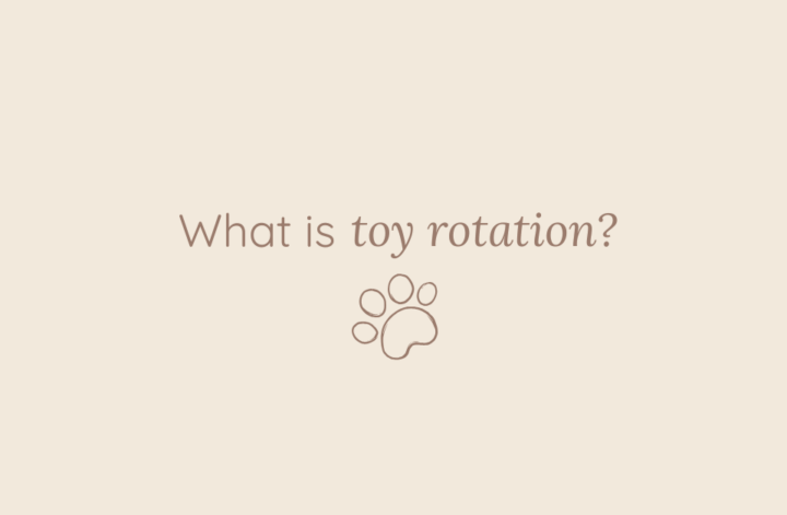 toy rotation