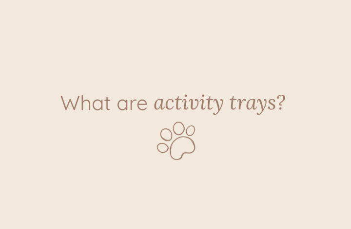 activity trays