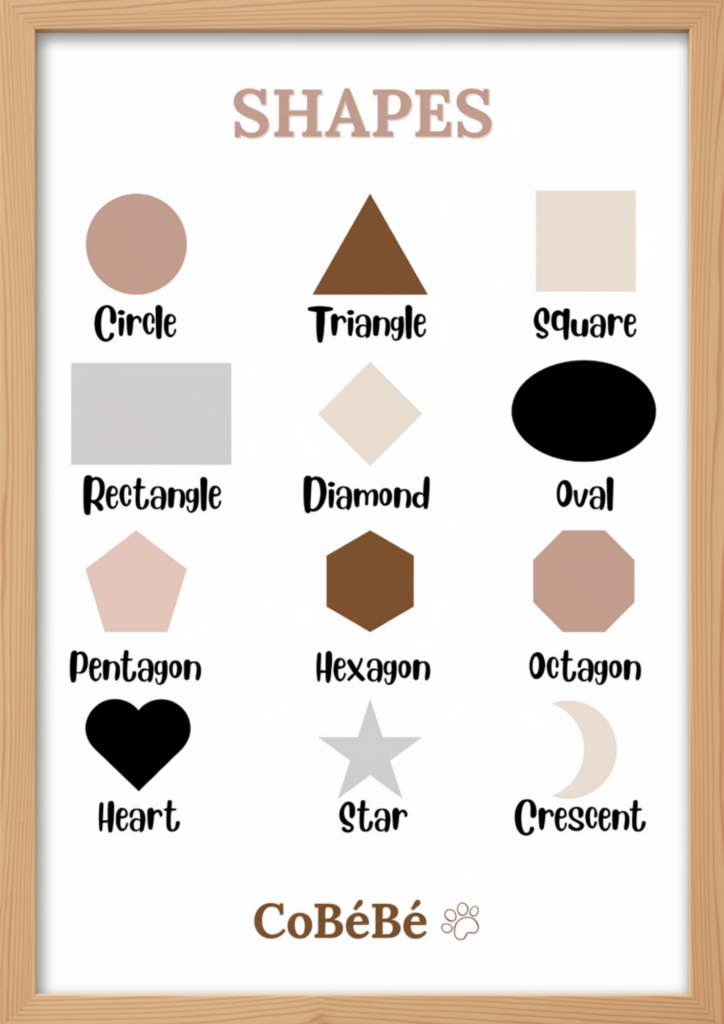 13 montessori wall posters
